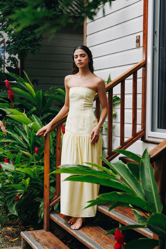 CLARA DRESS