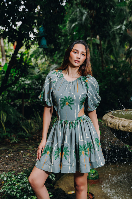 ALEYDA DRESS